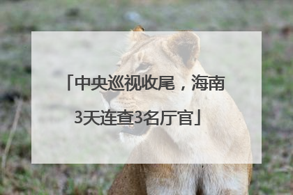 中央巡视收尾，海南3天连查3名厅官