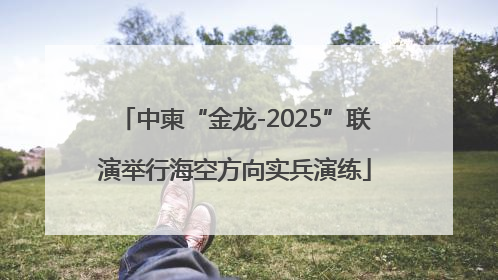 中柬“金龙-2025”联演举行海空方向实兵演练