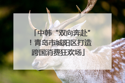 中韩“双向奔赴”！青岛市城阳区打造跨国消费狂欢场