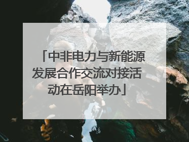 中非电力与新能源发展合作交流对接活动在岳阳举办