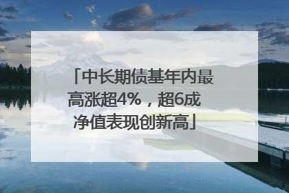 中长期债基年内最高涨超4%，超6成净值表现创新高