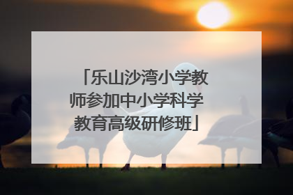 乐山沙湾小学教师参加中小学科学教育高级研修班