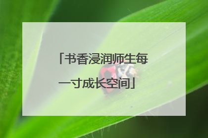 书香浸润师生每一寸成长空间