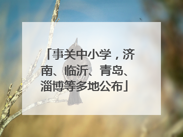 事关中小学，济南、临沂、青岛、淄博等多地公布
