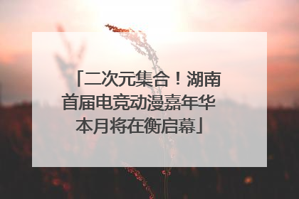 二次元集合！湖南首届电竞动漫嘉年华本月将在衡启幕