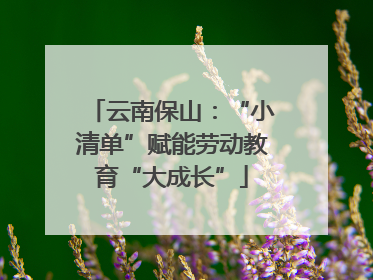 云南保山：“小清单”赋能劳动教育“大成长”