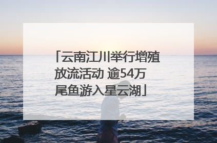 云南江川举行增殖放流活动 逾54万尾鱼游入星云湖