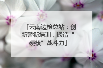 云南边检总站：创新警衔培训，锻造“硬核”战斗力