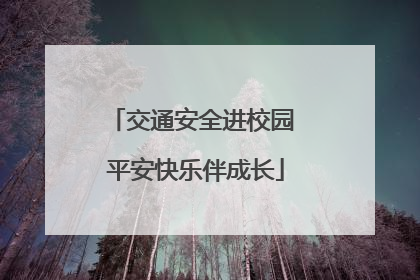 交通安全进校园 平安快乐伴成长