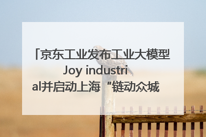 京东工业发布工业大模型Joy industrial并启动上海“链动众城 万亿降本”计划