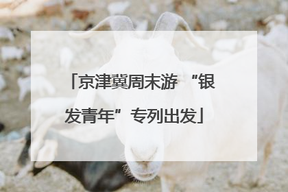 京津冀周末游 “银发青年”专列出发