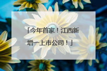 今年首家！江西新增一上市公司！
