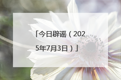 今日辟谣（2025年7月3日）