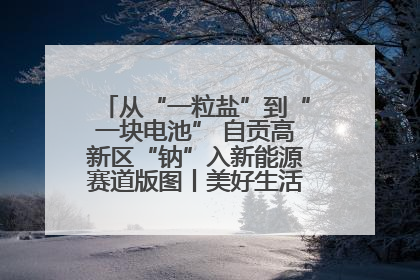 从“一粒盐”到“一块电池” 自贡高新区“钠”入新能源赛道版图丨美好生活有“盐”味