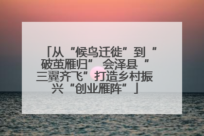 从“候鸟迁徙”到“破茧雁归” 会泽县“三翼齐飞”打造乡村振兴“创业雁阵”