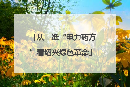 从一纸“电力药方”看绍兴绿色革命