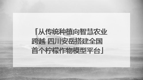 从传统种植向智慧农业跨越 四川安岳搭建全国首个柠檬作物模型平台