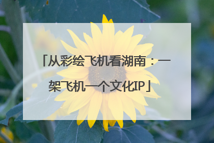 从彩绘飞机看湖南：一架飞机一个文化IP