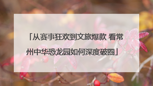 从赛事狂欢到文旅爆款 看常州中华恐龙园如何深度破圈