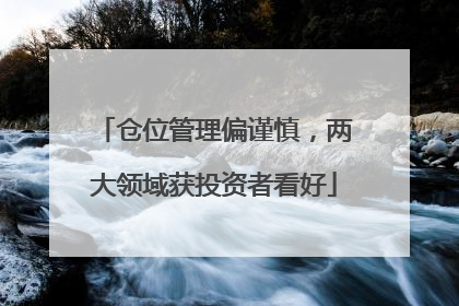 仓位管理偏谨慎，两大领域获投资者看好