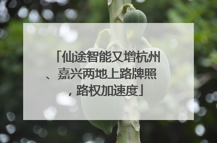 仙途智能又增杭州、嘉兴两地上路牌照，路权加速度