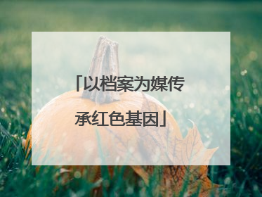以档案为媒传承红色基因