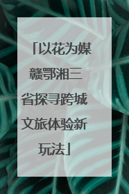 以花为媒 赣鄂湘三省探寻跨城文旅体验新玩法
