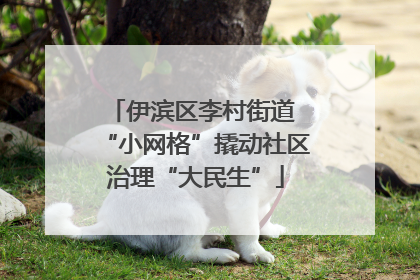 伊滨区李村街道 “小网格”撬动社区治理“大民生”