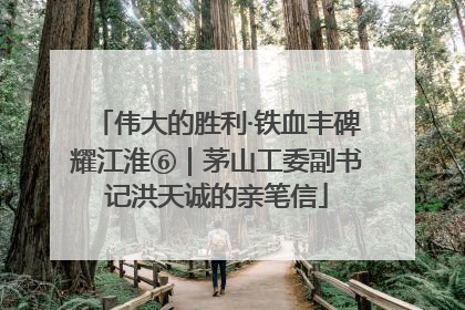 伟大的胜利·铁血丰碑耀江淮⑥｜茅山工委副书记洪天诚的亲笔信