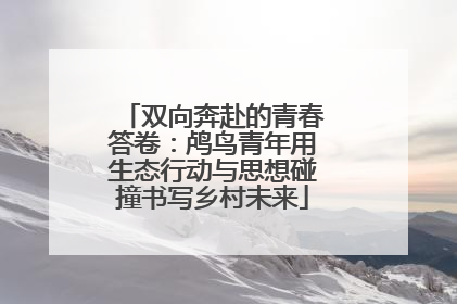 双向奔赴的青春答卷：鸬鸟青年用生态行动与思想碰撞书写乡村未来