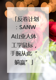反卷计划：SANWA山业人体工学鼠标，手腕从此“躺赢”