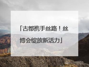 古都携手丝路！丝博会绽放新活力