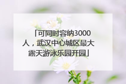 可同时容纳3000人，武汉中心城区最大露天游泳乐园开园