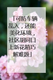 可防车辆乱入，还能美化环境，社区胡同口上新花箱巧解难题