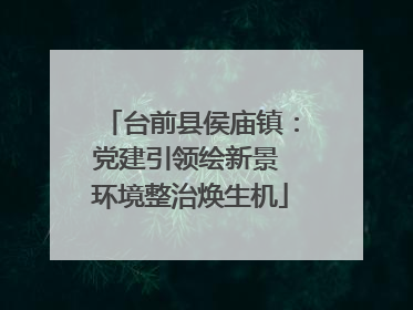 台前县侯庙镇：党建引领绘新景 环境整治焕生机