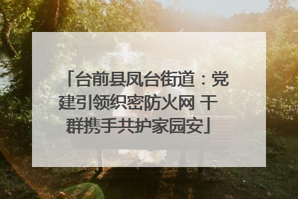 台前县凤台街道：党建引领织密防火网 干群携手共护家园安