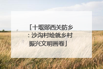 十堰郧西关防乡：沙沟村绘就乡村振兴文明画卷