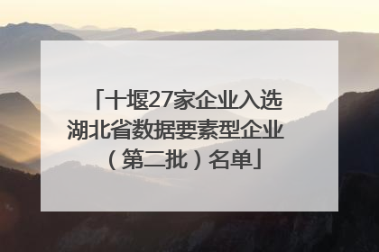 十堰27家企业入选湖北省数据要素型企业（第二批）名单