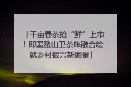 千亩春茶抢“鲜”上市！即墨鳌山卫茶旅融合绘就乡村振兴新图景