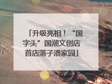 升级亮相！“国字头”国潮文创店首店落子潘家园
