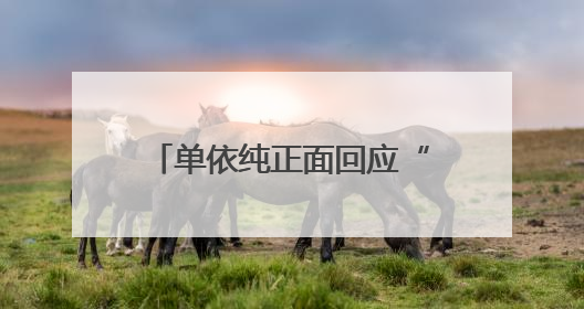 单依纯正面回应“被说像王菲”：不可能成为和超越前辈，我想致敬他们