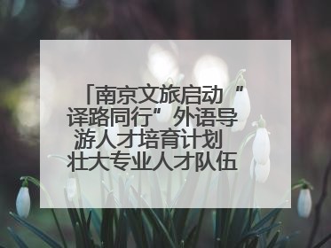 南京文旅启动“译路同行”外语导游人才培育计划 壮大专业人才队伍助力重要国际旅游目的地建设