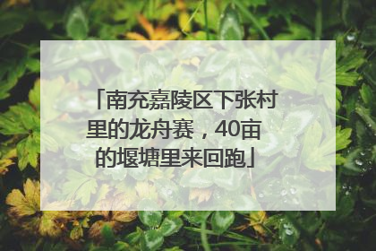 南充嘉陵区下张村里的龙舟赛，40亩的堰塘里来回跑