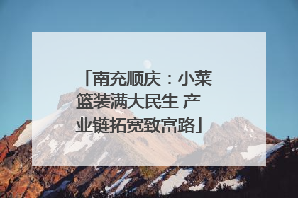 南充顺庆：小菜篮装满大民生 产业链拓宽致富路