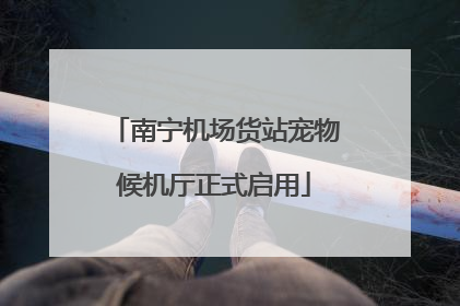 南宁机场货站宠物候机厅正式启用