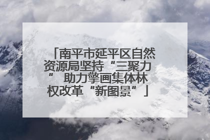南平市延平区自然资源局坚持“三聚力” 助力擎画集体林权改革“新图景”