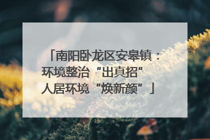 南阳卧龙区安皋镇：环境整治“出真招” 人居环境“焕新颜”