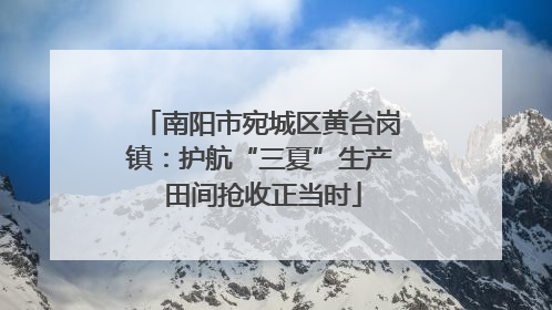 南阳市宛城区黄台岗镇：护航“三夏”生产 田间抢收正当时