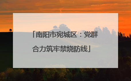 南阳市宛城区：党群合力筑牢禁烧防线