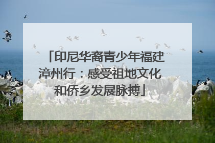 印尼华裔青少年福建漳州行：感受祖地文化和侨乡发展脉搏